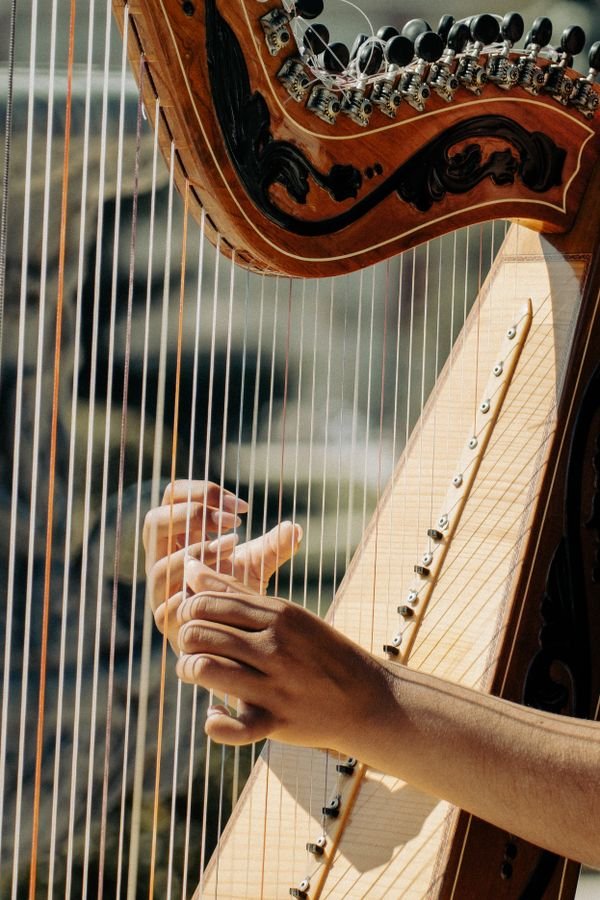 Harmonica 10-Hole