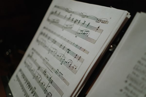 Recorder Flute